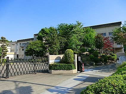 八王子市立中山中学校 800m(10分)