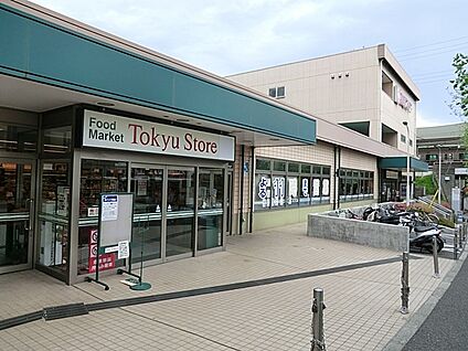 東急ストア 江田店 800m(10分)