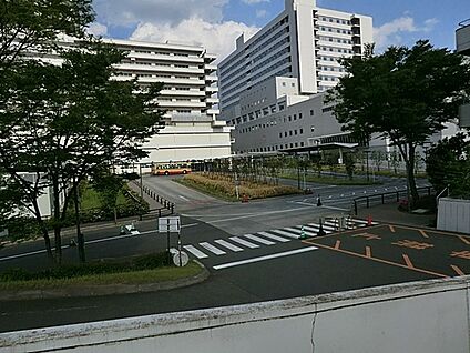 東海大学医学部付属病院 4900m(62分)