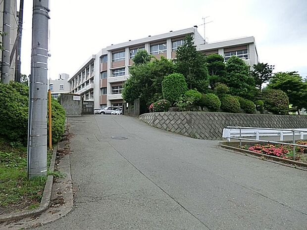 相模原市立相模丘中学校(約1,040m・徒歩13分)