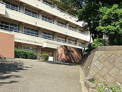 海老名市立大谷中学校 560m(7分)