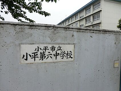 小平市立小平第六中学校 1500m(19分)