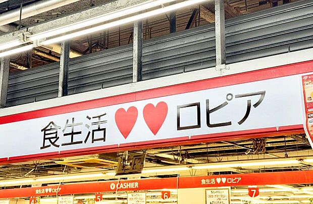 ロピア 厚木店(約1,250m・徒歩16分)