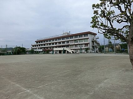 稲城市立稲城第三中学校 240m(3分)