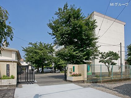 八王子市立第四中学校 350m(5分)