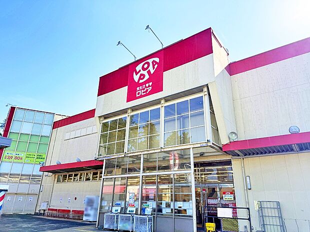 ロピア綾瀬店(約1,600m・徒歩20分)