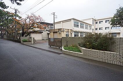 小田原市立白鴎中学校 1900m(24分)