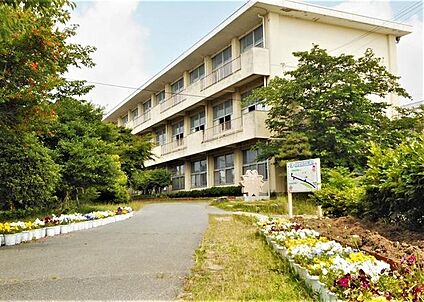 片葩小学校 450m