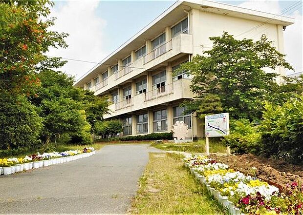 片葩小学校(約450m)