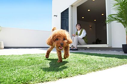 屋上空間イメージ