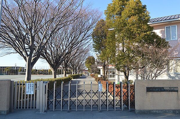朝日小学校(約700m)