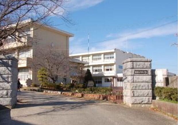 片葩小学校(約220m)