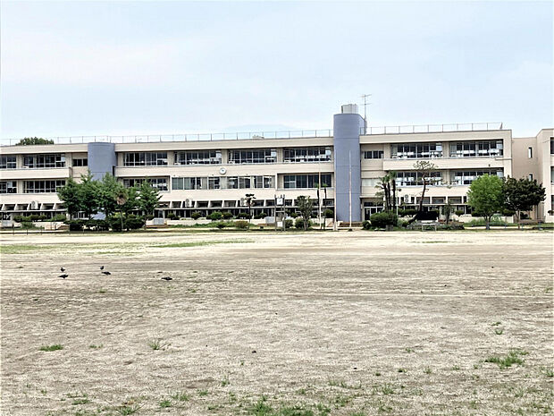 綿打小学校　