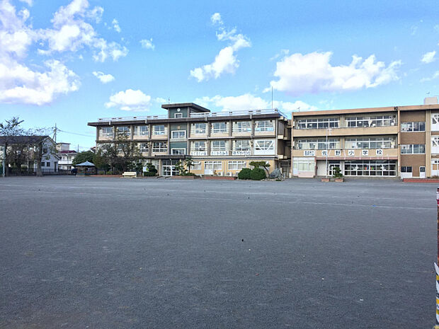 佐野小学校　