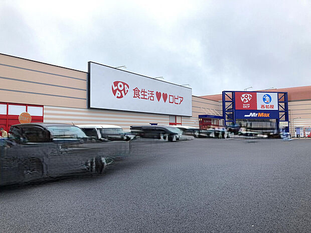 ロピア倉賀野店（約1,000m）