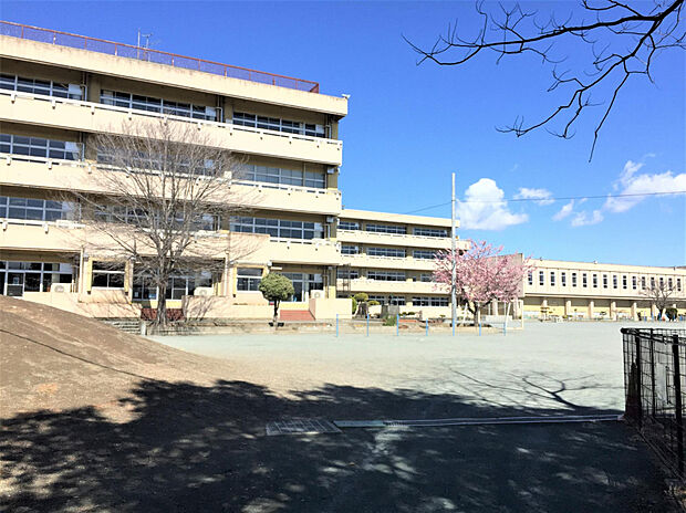 尾島小学校（約560m）