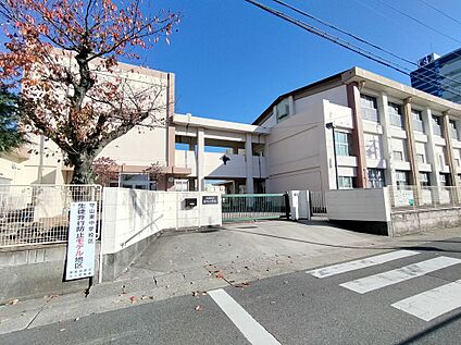 苗代小学校 500ｍ(徒歩6分)