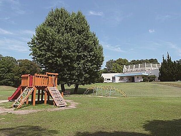 レジャー 森林公園