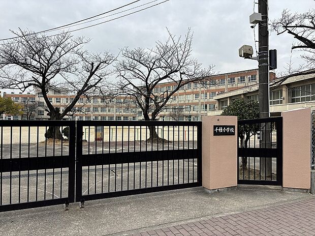 名古屋市立千種小学校（約63m）