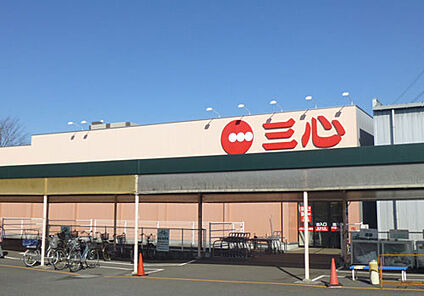 スーパー三心鏡島店 約670ｍ(徒歩9分)