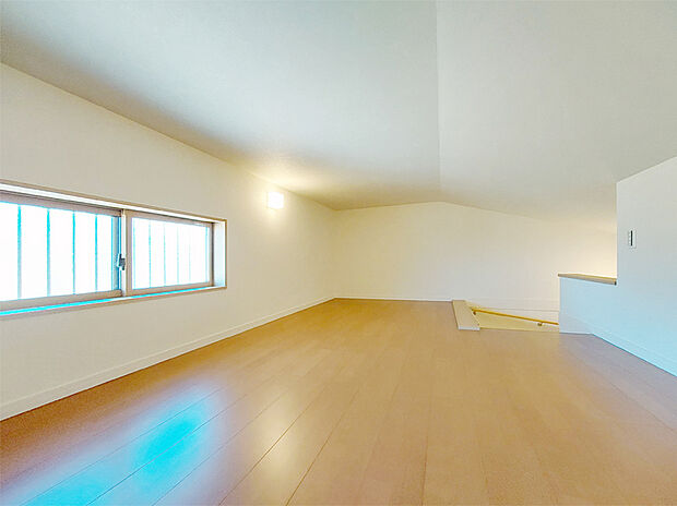【31-1号地】小屋裏収納