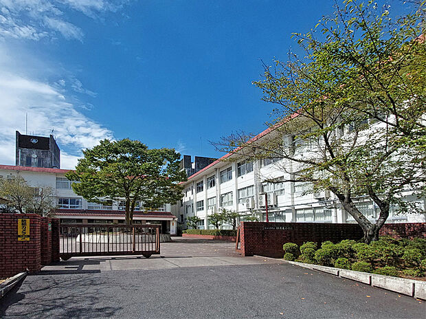 桐原東小学校(約750m)