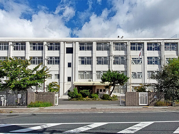 草津市立草津中学校(約1m)