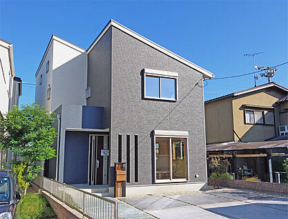 6号地