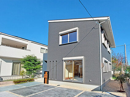 6号地