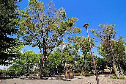 寺尾台第一公園 900m(12分)
