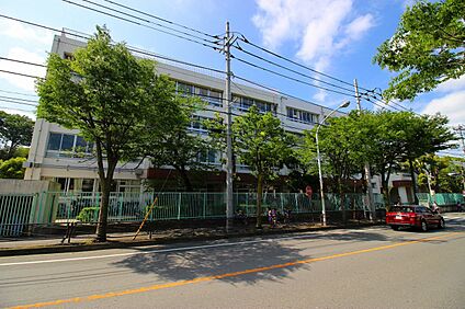 野川小学校 1100m(14分)