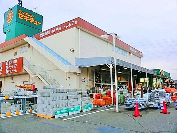 セキチュー鶴川店（約1,100m）