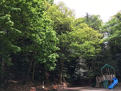 篠原町会下谷公園 450m(6分)