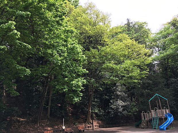 篠原町会下谷公園（約450m・徒歩6分）