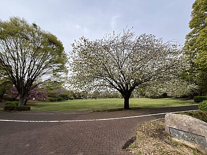 滝ヶ谷公園 1300m