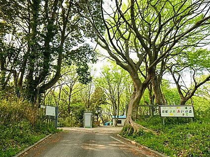 稲城ふれあいの森 850m