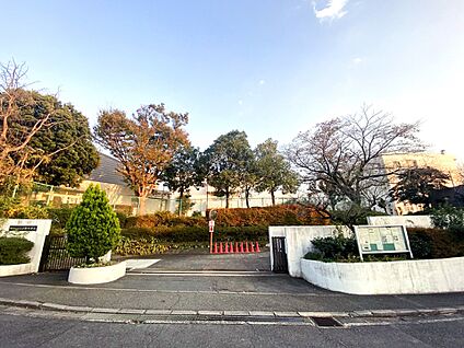 もえぎ野中学校 1800m(23分)