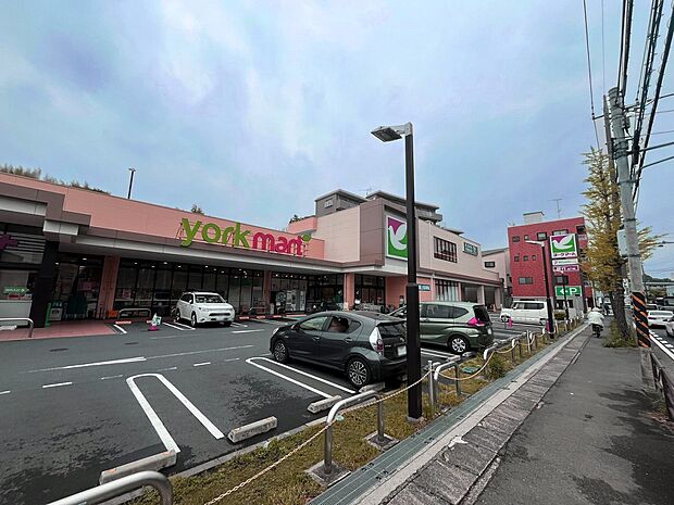 ヨークマート川崎野川店(約1,100m・徒歩14分)