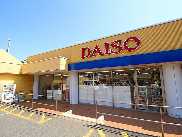 ザ・ダイソー パシオス野川店(約1,100m・徒歩14分)