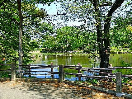 菊名池公園 750m(10分)