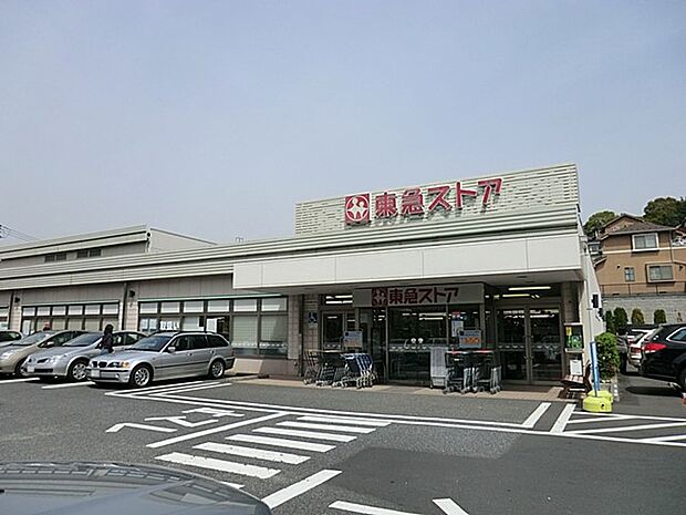 東急ストアたちばな台店(約750m)