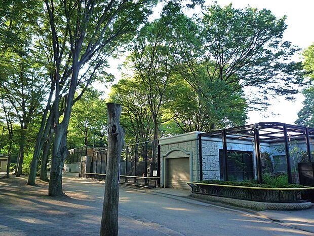 夢見ヶ崎公園(約500m)