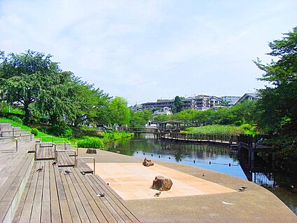 岸根公園 1100m(14分)