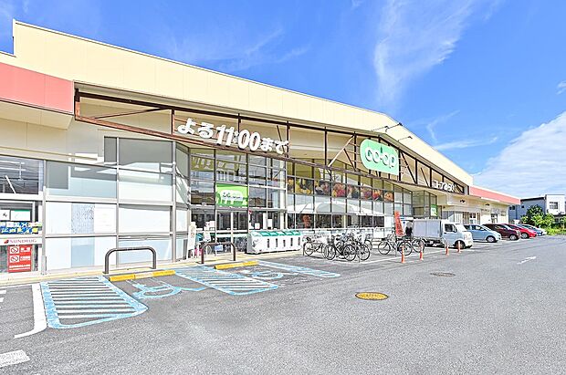 コープ新所沢店(約800m)