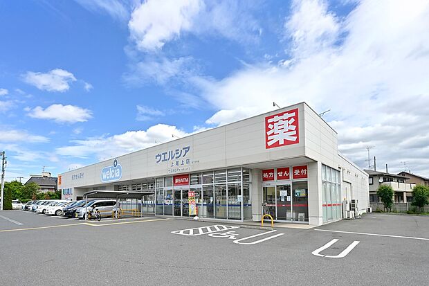 ウエルシア上尾上店（約370m）