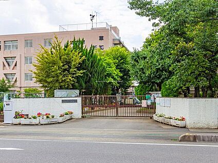 草加市立新栄中学校 400m(徒歩5分)