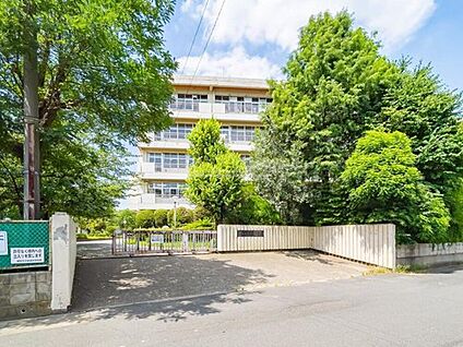 越谷市立栄進中学校 1100m(徒歩14分)