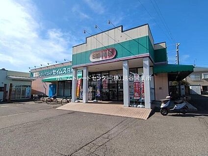 ドラッグセイムス庄和町店 210m(徒歩3分)