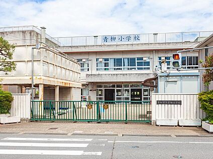 草加市立青柳小学校 127m(徒歩2分)
