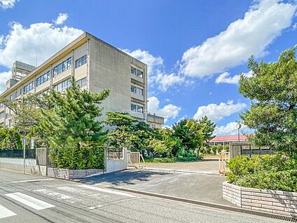 草加市立青柳中学校 856ｍ(徒歩11分)